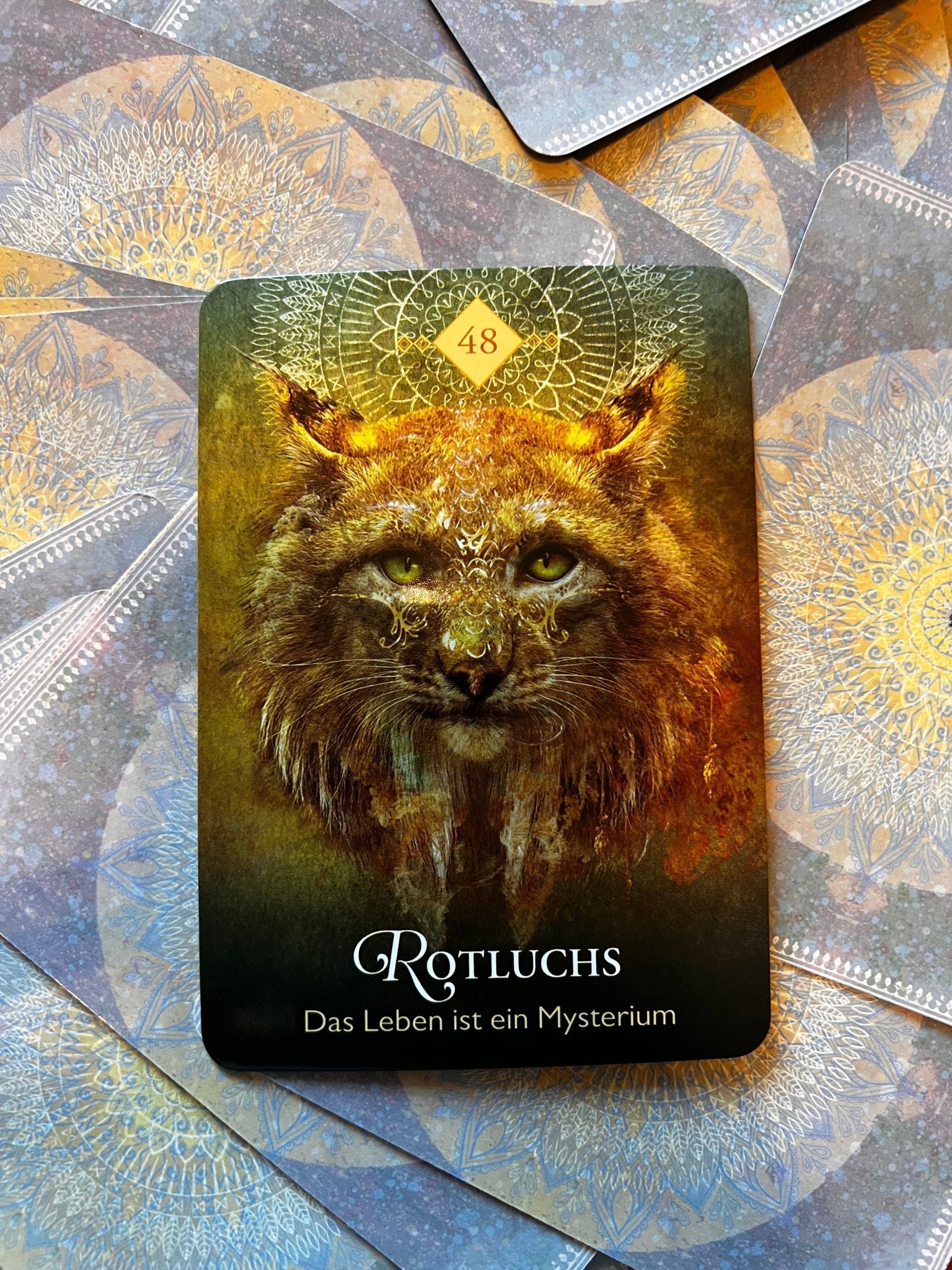 Dein Krafttier 2025 - KLIOlogie