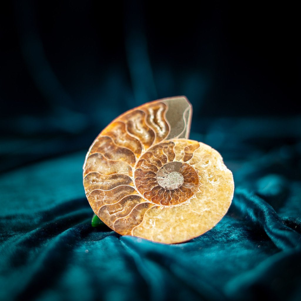 Für sanften Wandel - KLIOlogie