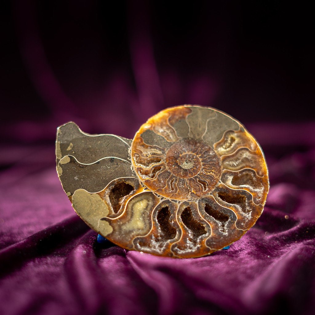 Für Wandel & Neubeginn - KLIOlogie