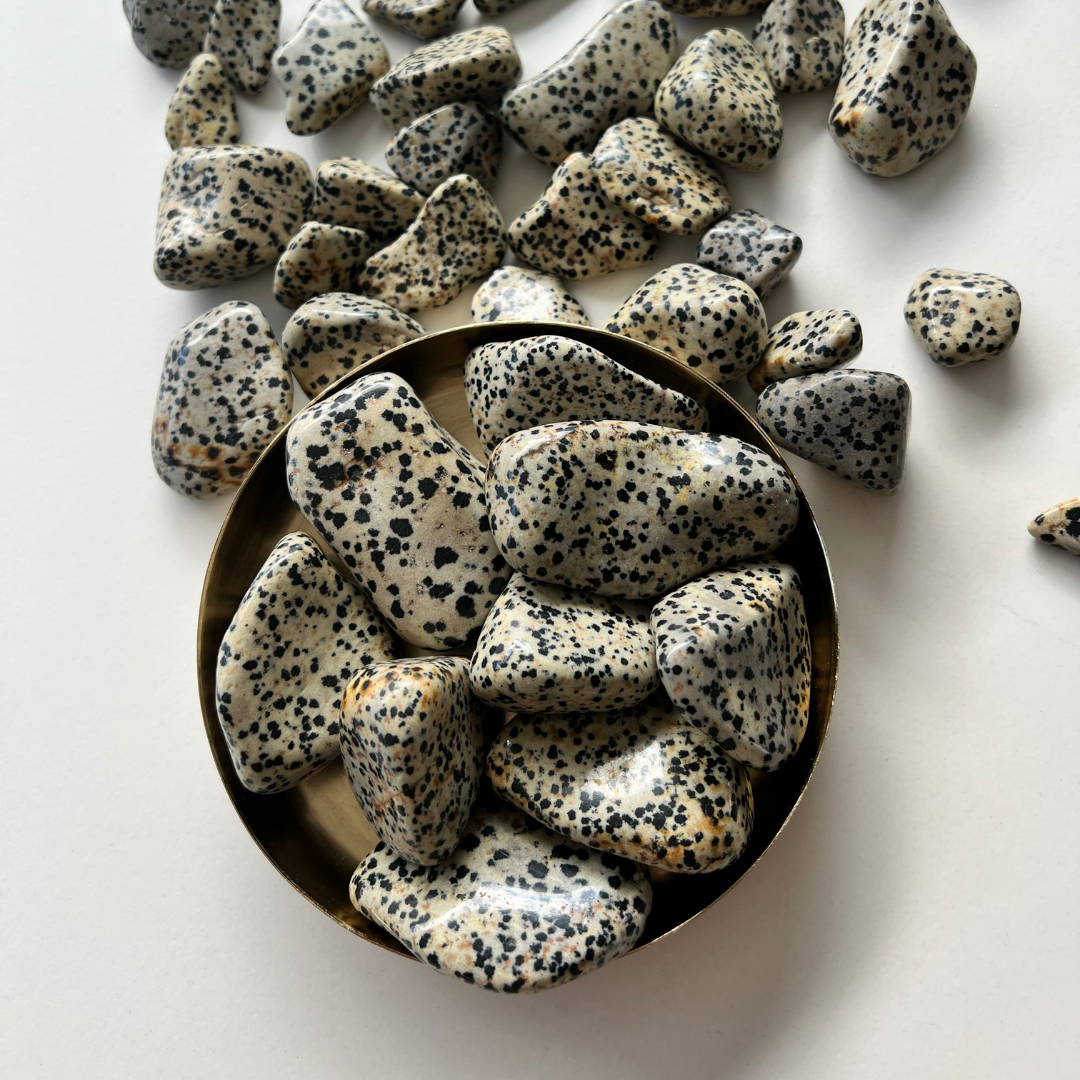 Dalmatiner Jaspis Trommelstein | KLIOlogie