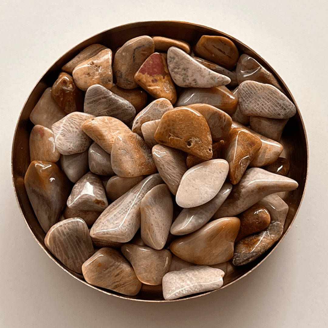 Achatkoralle Trommelstein - KLIOlogie