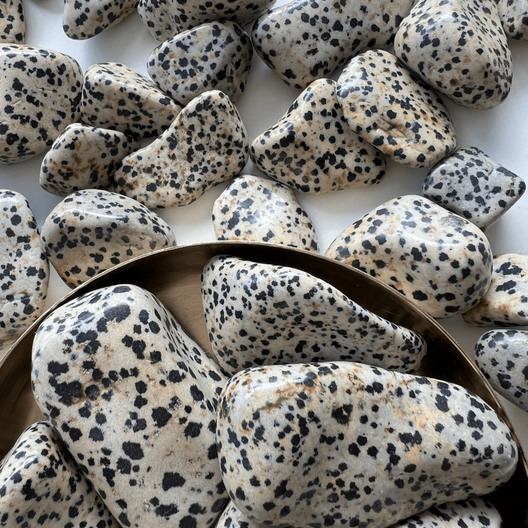 Dalmatiner Jaspis Trommelstein - KLIOlogie