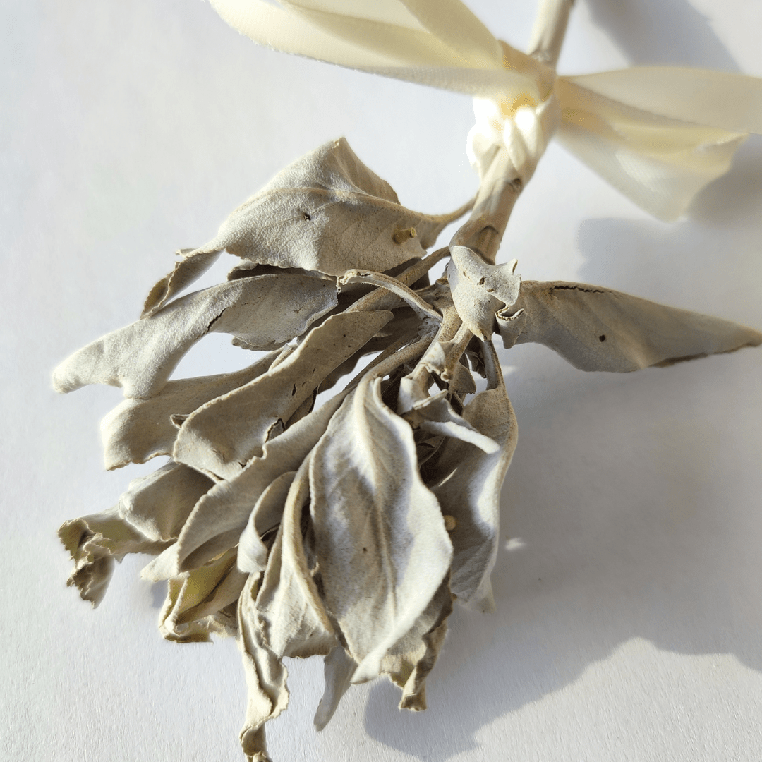 Portaltag - Bundle - KLIOlogie