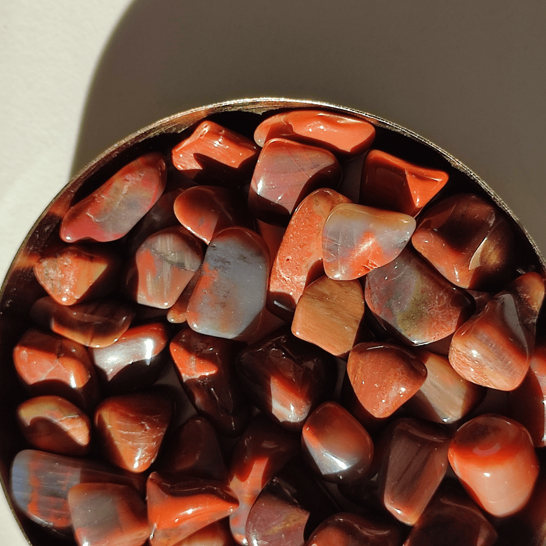 Versteinertes Holz Trommelstein - KLIOlogie