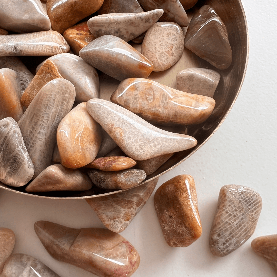 Achatkoralle Trommelstein - KLIOlogie