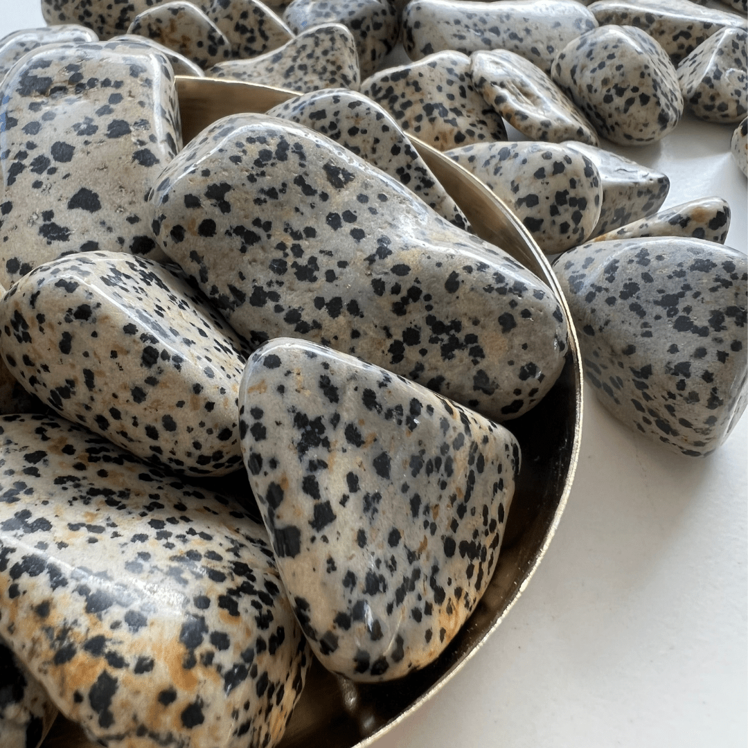 Dalmatiner Jaspis Trommelstein - KLIOlogie