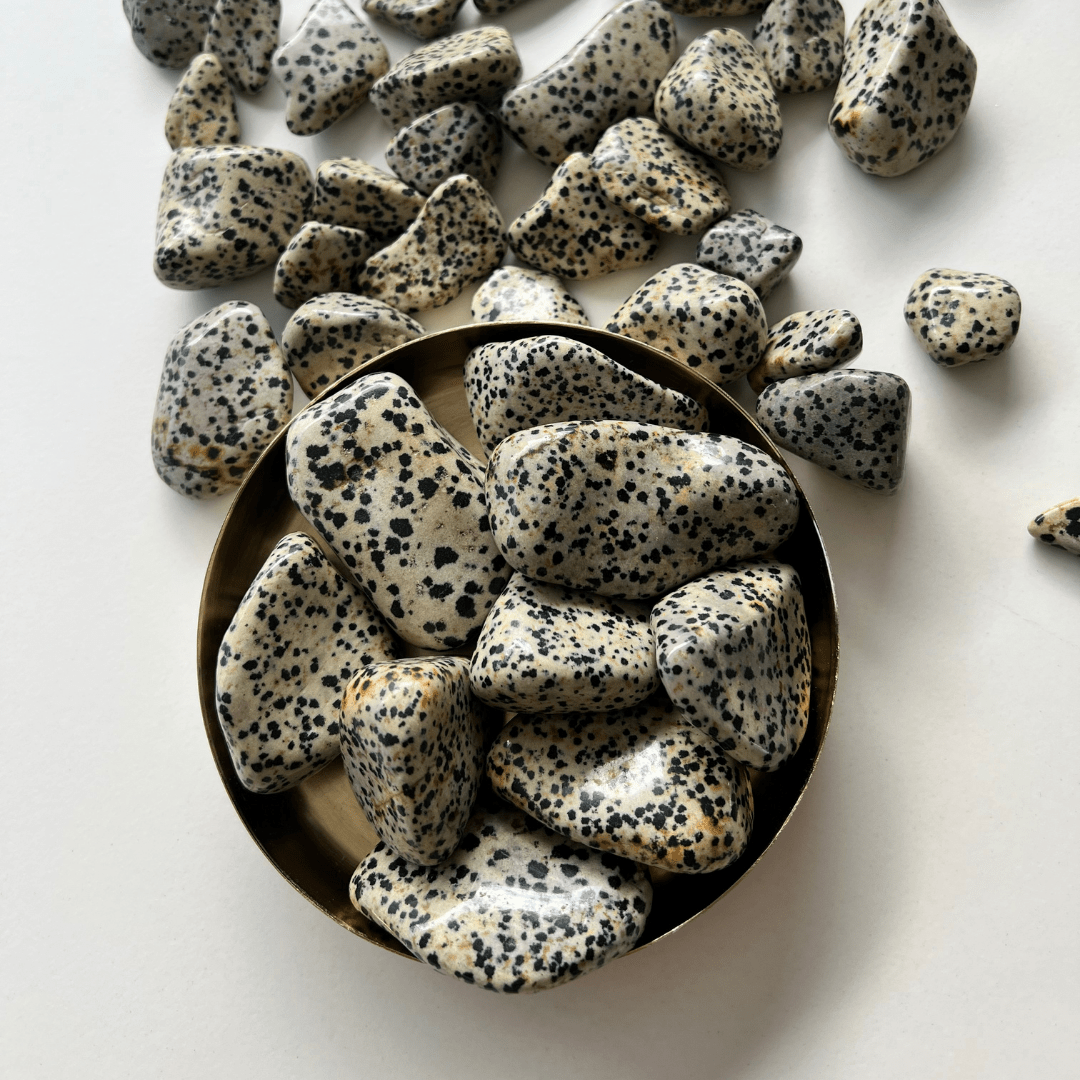 Dalmatiner Jaspis Trommelstein - KLIOlogie