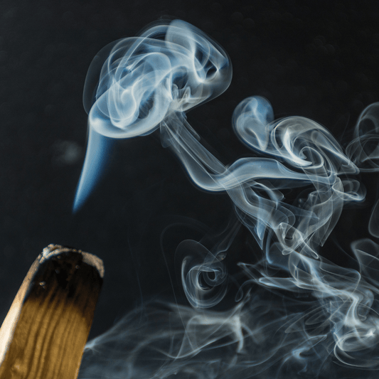 Portaltag - Bundle - KLIOlogie