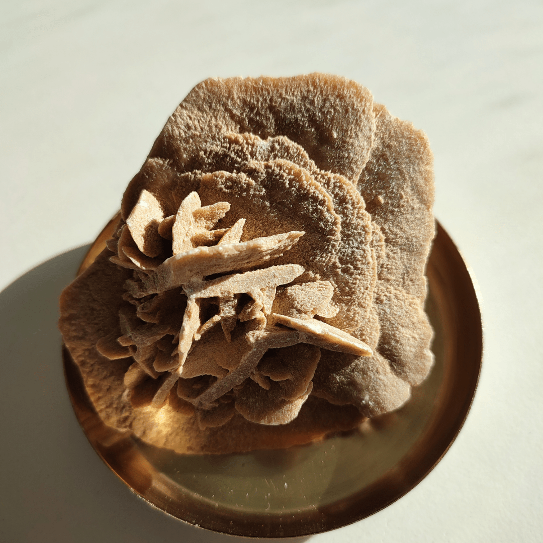 Sandrose - KLIOlogie