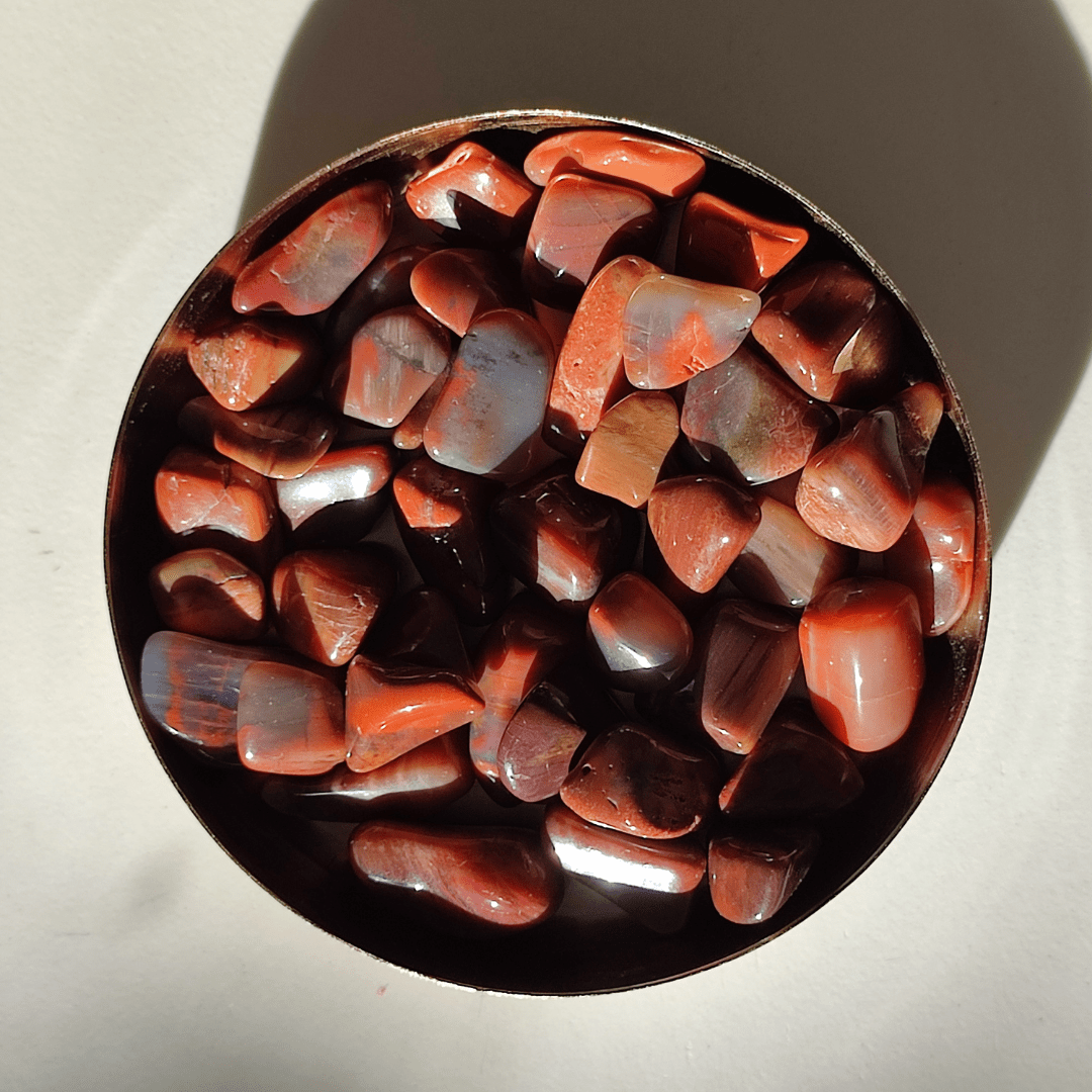 Versteinertes Holz Trommelstein - KLIOlogie