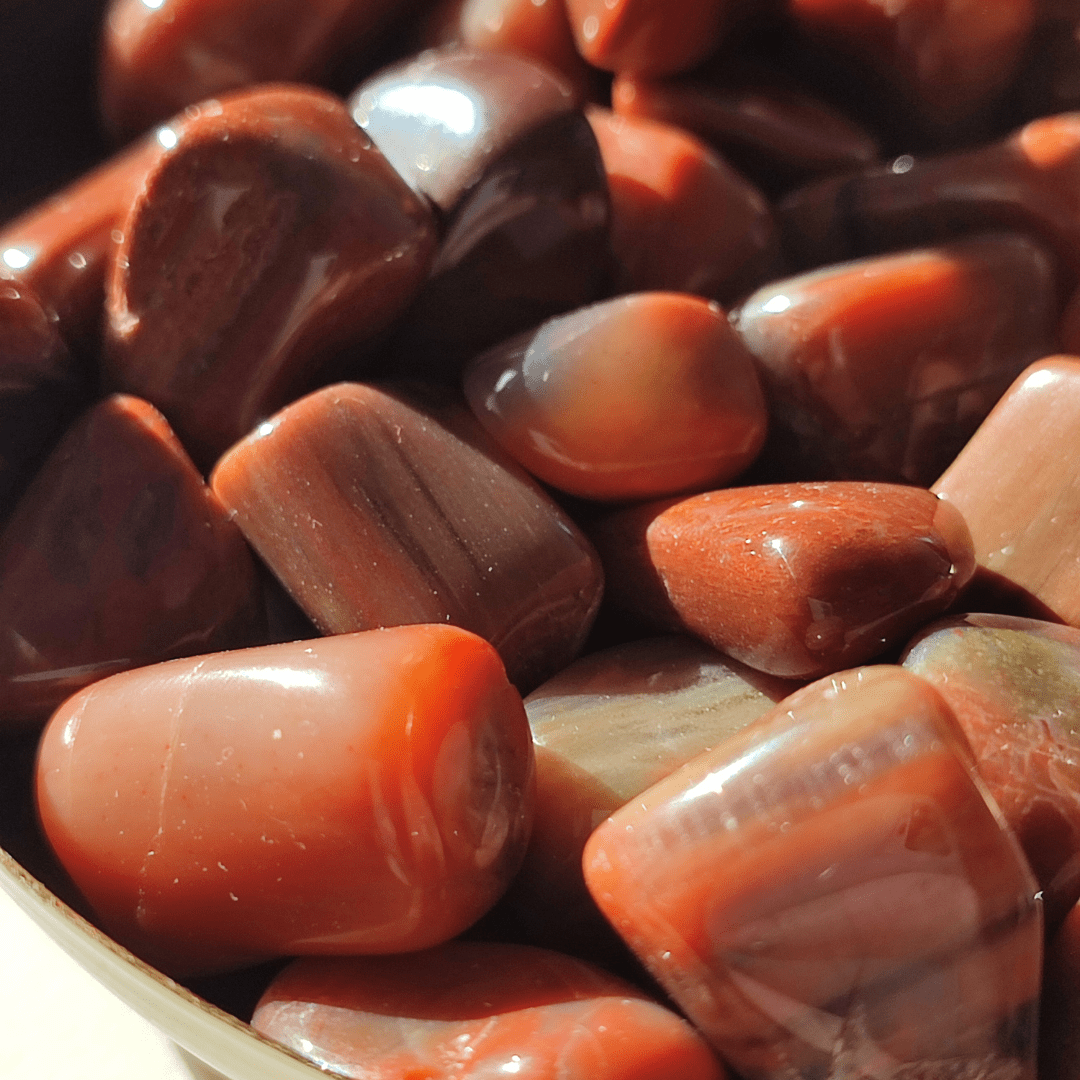 Versteinertes Holz Trommelstein - KLIOlogie