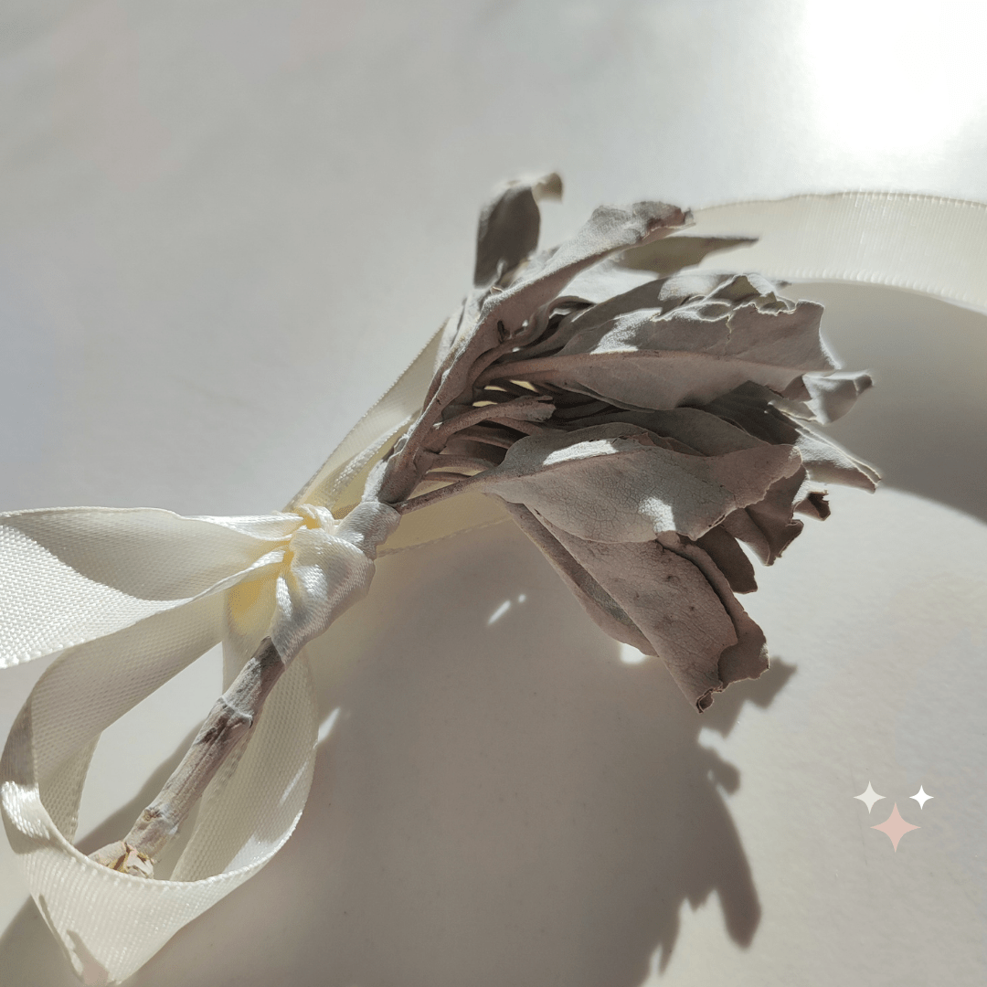 Weißer Salbei - KLIOlogie